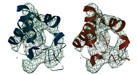 Registration of protein model from reference domain 1b7vA0 (blue) to best fitting (red) into target domain 1ls9A0 (mesh)