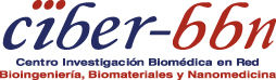 Logo CIBER-BBN