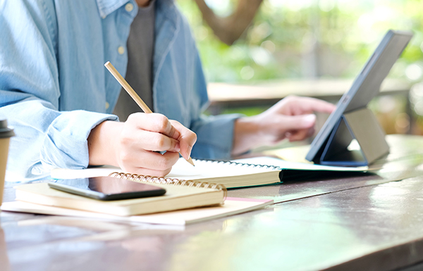 Oferta de temas de Trabajos Fin de Grado 2024-25